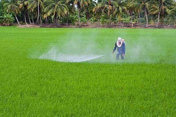 Herbicides