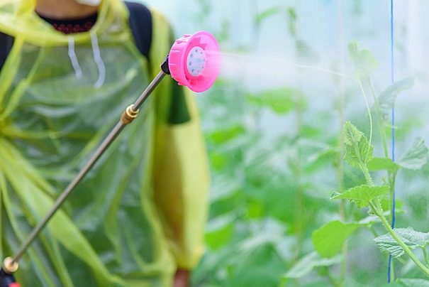 Insecticides
