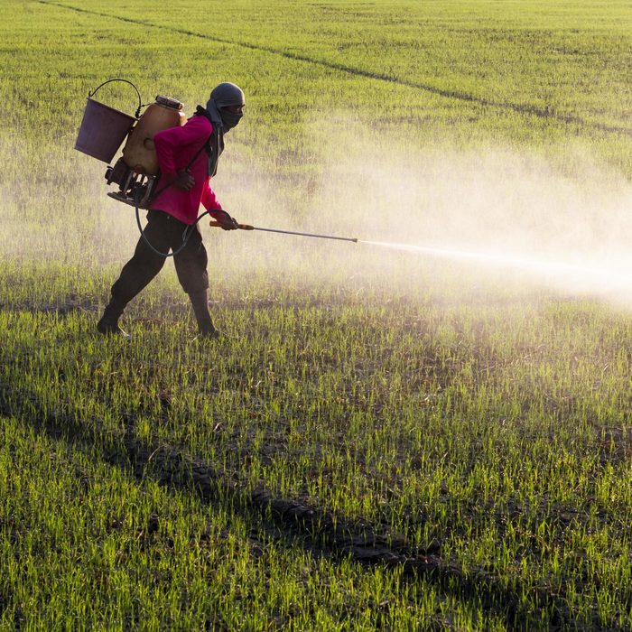 Plant Growth Regulators
